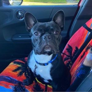 Meet your Posher, Suzanne